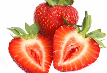 Polka - raná odrůda