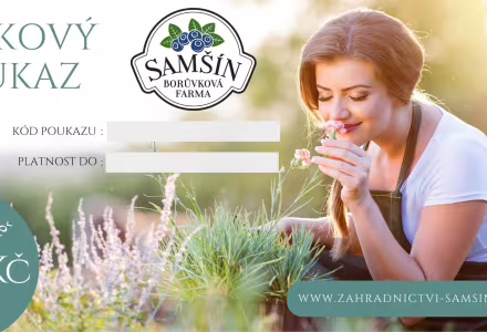 Dárkový poukaz na 3000 Kč