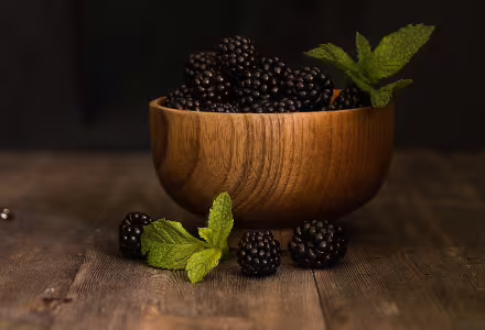Ostružiník - Little Black Prince - balkonový