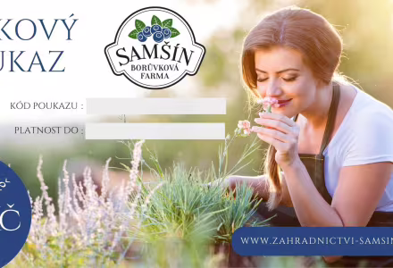 Dárkový poukaz na 500 Kč